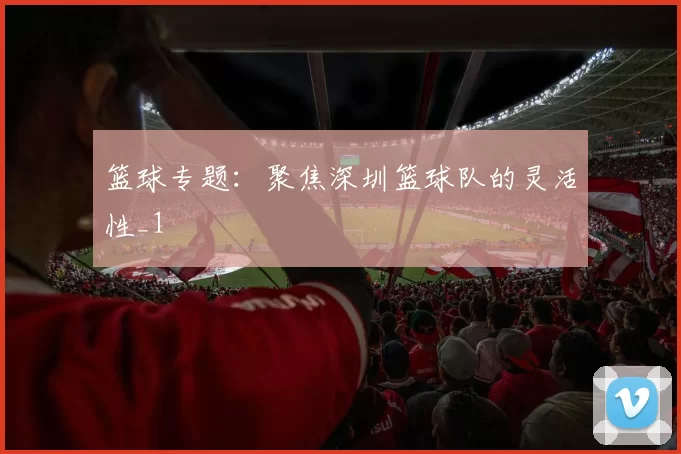 篮球专题：聚焦深圳篮球队的灵活性_1