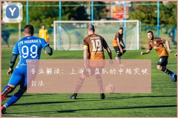 专业解读：上海飞盘队的中路突破打法