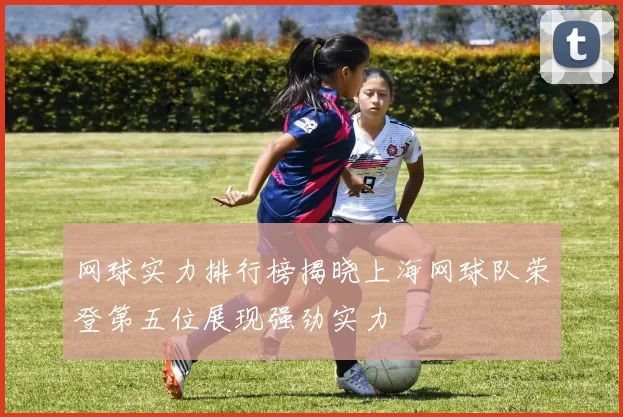 网球实力排行榜揭晓上海网球队荣登第五位展现强劲实力