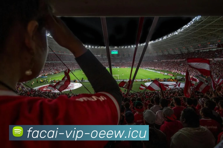 爱游戏体育品牌故事