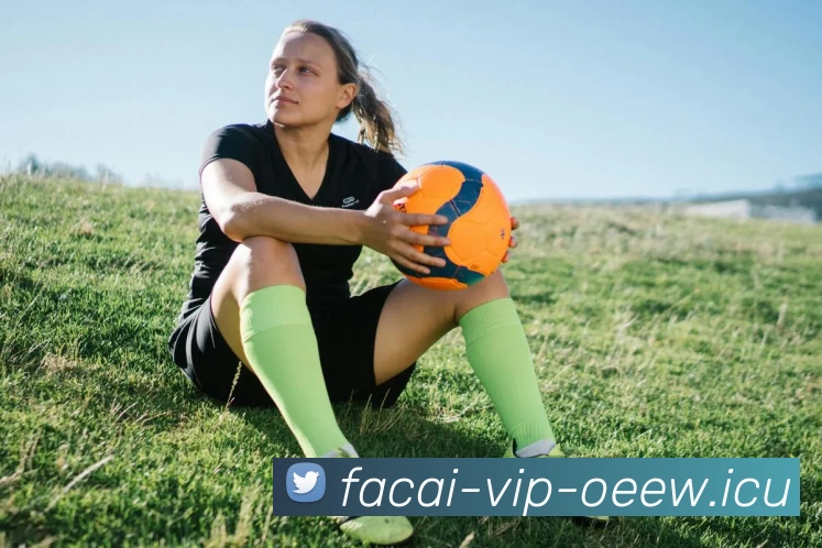 爱游戏体育服务体系